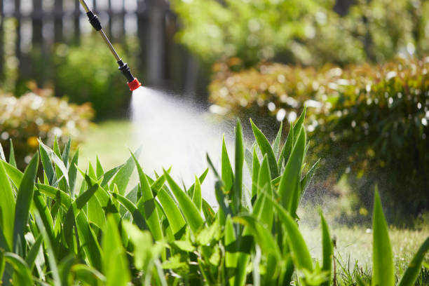 24/7 Emergency Wasp Removal experts in Orland Park, IL